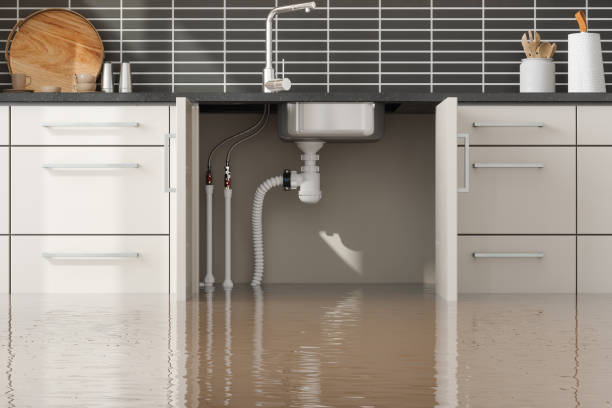 Best Water damage restoration experts  in USA